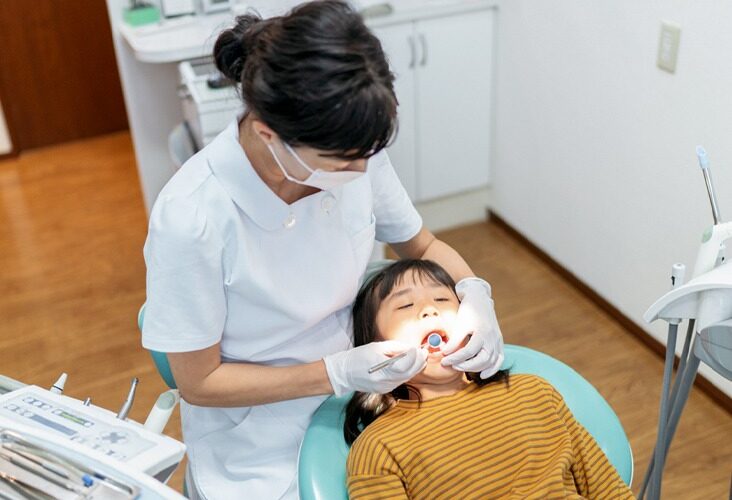 Services Offered by Dentists