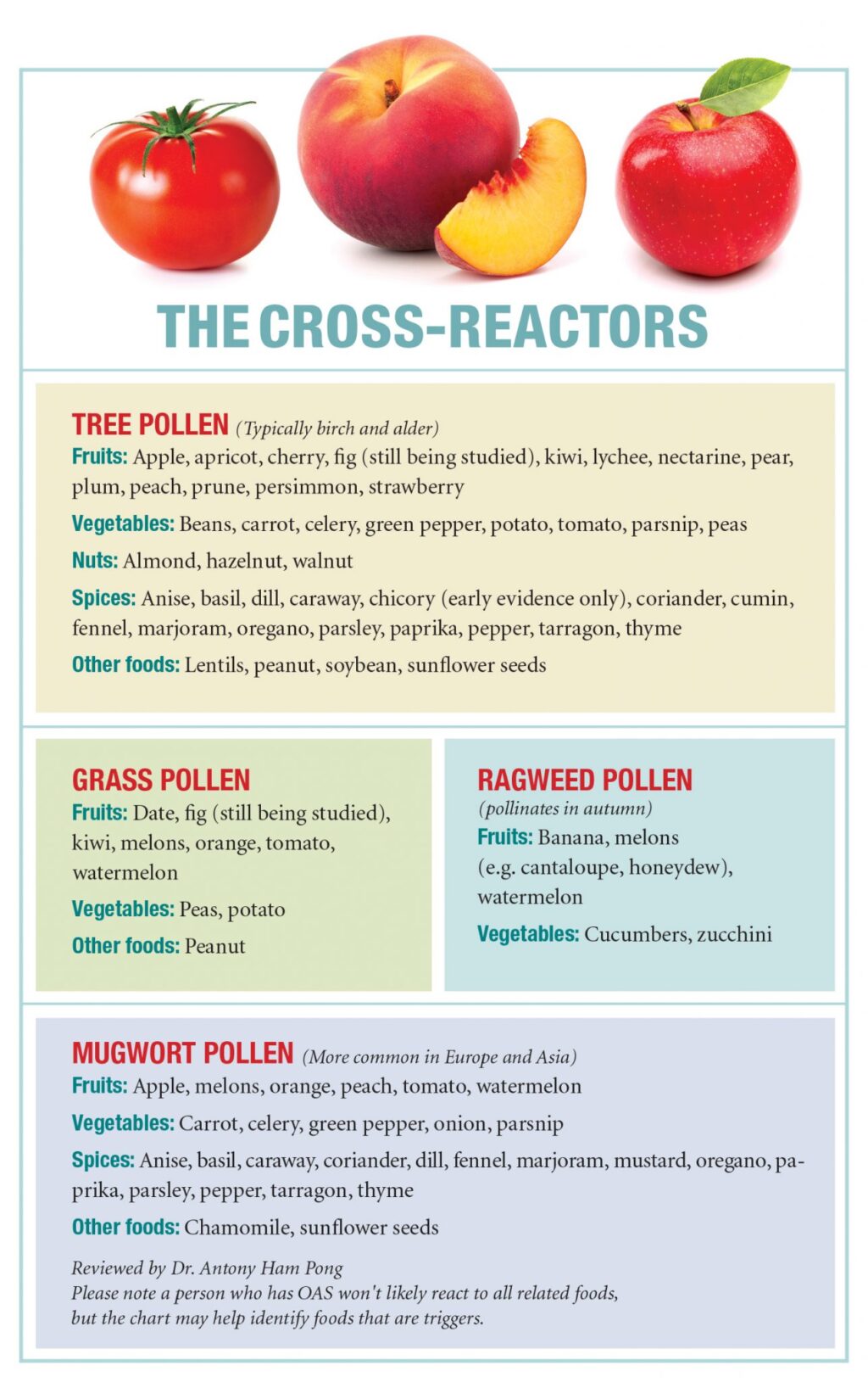 Understanding The Different Types Of Allergy Test With