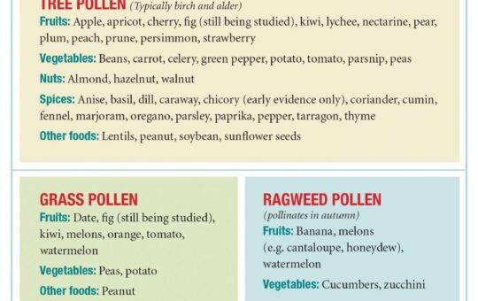 Understanding The Different Types Of Allergy Test With